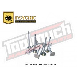 SOUPAPE D'ADMISSION LATERALE PSYCHIC YAMAHA YZF 250 2001/2011