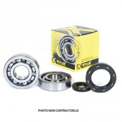 Kit roulements et joints spis de vilebrequin KX125 '82-84