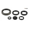 POCHETTE SPYS MOTEUR SUZUKI 250 RM 96/02