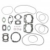 SGM ROTAX SEA-D00 580CC.2T. 88-91