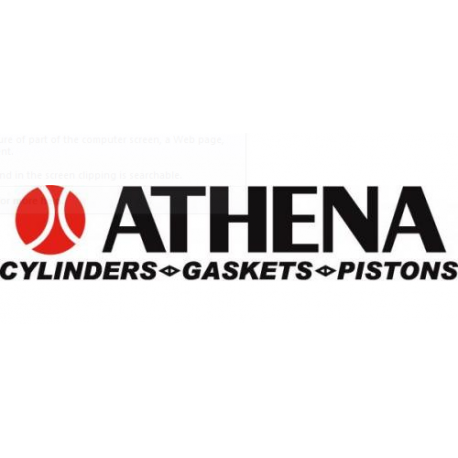 POCHETTE HAUT MOTEUR ATHENA SHERCO SEF-R 300 2014/2021