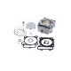 Kit cylindre Standard Bore Cylinder Kit Ø 79 mm, CRF 250 20/22