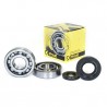 Kit roulements et spis de vilebrequin YZ250 '01-26