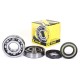 Kit roulements et JOINT SPI DE VILEBREQUIN PROX YZ465 '80-81+YZ490 '82-90