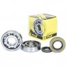 Kit roulements et JOINT SPI DE VILEBREQUIN PROX RM250 '03-04