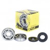 Kit roulements et spis de vilebrequin KX65/80/85/100/112 '85-26