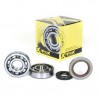 Kit roulements et JOINT SPI DE VILEBREQUIN PROX KTM65SX '09-26  MX