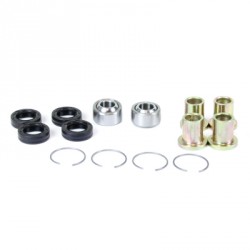 ProX A-arm Bearing Kit TRX250R '87-89