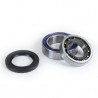 NTN/KOYO/PROX Frontwheel Bearing Set TRX350TE/TM '00-06