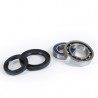 NTN/KOYO/PROX Frontwheel Bearing Set TRX250 Fourtrax '85-87