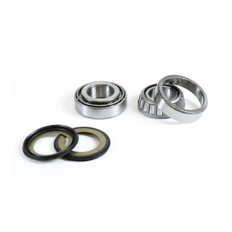 KIT ROULEMENTS DE COLONNE PROX GASGAS 125/200/252/300/450