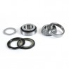 Prox Steering Bearing Kit XL350 '74-78