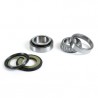 Prox Steering Bearing Kit Aprilia RXV/SXV450/550 '06-11