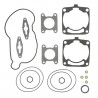 POCHETTE HAUT MOTEUR PROX Polaris XIQ/LX/Switchback 600 '09-11