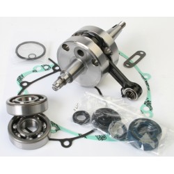 VILEBREQUIN WISECO KAWASAKI KX60 de 1986 / 2003 + RM60 03