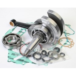 VILEBREQUIN WISECO-'01-05 Yamaha Raptor 660
