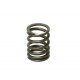 INTAKE VALVE SPRING