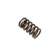 INTAKE VALVE SPRING SET