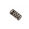 INTAKE VALVE SPRING SET