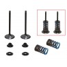KIT CONVERSION ADMISSION SOUPAPES ACIER PSYCHIC AVEC RESSORTS 250 YZF 14/18