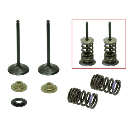 KIT CONVERSION ADMISSION SOUPAPES ACIER PSYCHIC AVEC RESSORTS 250 KXF 2007/2008