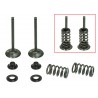 KIT CONVERSION ECHAPPEMENT SOUPAPES ACIER PSYCHIC AVEC RESSORTS 450 YZF 03/09