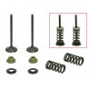 KIT CONVERSION ECHAPPEMENT SOUPAPES ACIER PSYCHIC AVEC RESSORTS 250 YZF 01/13