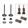 KIT CONVERSION ADMISSION SOUPAPES ACIER PSYCHIC AVEC RESSORTS 250 KXF 2004/2006