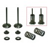 KIT CONVERSION ADMISSION SOUPAPES ACIER PSYCHIC AVEC RESSORTS 450 CRF 02/08