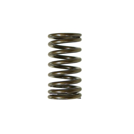 RESSORT DE SOUPAPE D'ECHAPPEMENT PSYCHIC YAMAHA 450 YZF 10/17