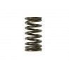RESSORT DE SOUPAPE D'ECHAPPEMENT PSYCHIC YAMAHA 450 YZF 10/17