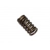 RESSORT DE SOUPAPE D'ADMISSION PSYCHIC HONDA 250 CRF R 10/17