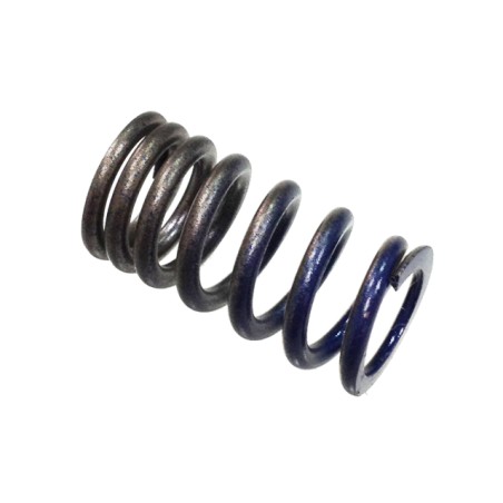 RESSORT SOUPAPE D'ADMISSION PSYCHIC KAWASAKI 250 KXF 04/06 250 SUZUKI RMZ  04/06