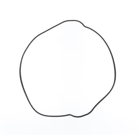 Outer Clutch Cover Gasket KTM SX-F 250 cc 2016/2022 EXC F FE EC F