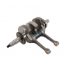 VILEBREQUIN HOT RODS POL RZR800 08-14