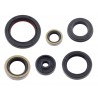 POCHETTE DE JOINTS SPI MOTEUR PSYCHIC KTM 85 SX 18/24 GASGAS MC 85 21/24 HUSQVAR