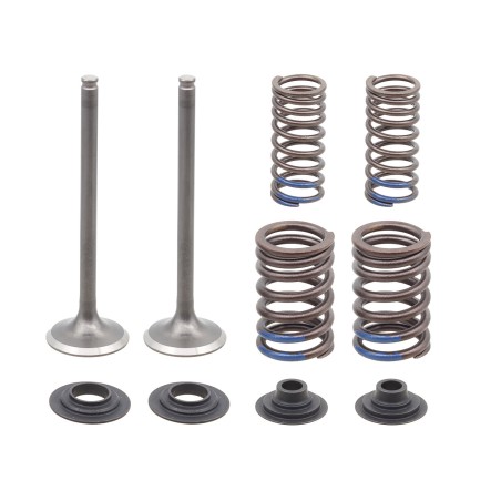 KIT CONVERSION SOUPAPES ACIER ADMISSION PSYCHIC AVEC RESSORTS
