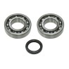 KIT ROULEMENTS + SPYS VILEBREQUIN 250 KXF 04-20 23.CBS43004