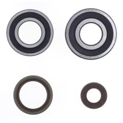 roulements de vilebrequin et spis Gasgas 200/250/300 EC 2008/2018