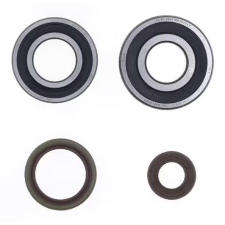 roulements de vilebrequin et spis Gasgas 200/250/300 EC 2008/2018