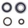 roulements de vilebrequin et spis Gasgas 200/250/300 EC 2008/2018